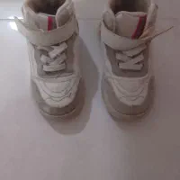 کفش پسرانه درحد