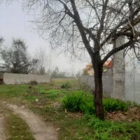 فروش زمین|فروش زمین و ملک کلنگی|رودبنه, |دیوار