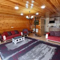 ویلا سوئیسی لوکس|اجارهٔ کوتاه‌مدت ویلا و باغ|اسالم, |دیوار