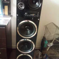 باند دوقلو گاندو  سالم و تمیز پر قدرت