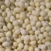 تخم حلزون آفریقایی