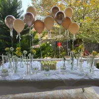 اجاره تجهیزات تولد و بادکنکارایی