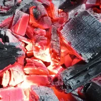 نیازمند همکار در کبابی