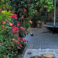 همخونه ای خانم