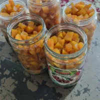 مربا کدو تازه