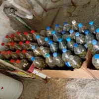 خیارشور بطری نوشابه|خوردنی و آشامیدنی|شیروان (خراسان), |دیوار