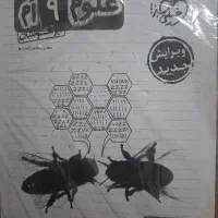 خیلی سبز نهم