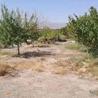 فروش باغ درجلفا روستای سیلگرد|فروش خانه و ویلا|جلفا, |دیوار