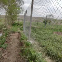 فنس کشی و پایه گذاری صالحی|خدمات باغبانی و درختکاری|تبریز, |دیوار