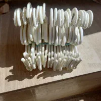 گیره صندل|فروشگاه و مغازه|طارم, |دیوار