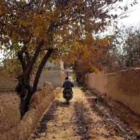 باغ-اناری-دنج-و-خاص