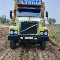 ولو دوچرخ توپ طلا بیرنگ