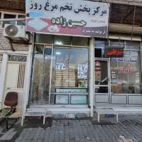 تخم مرغ فقط 270