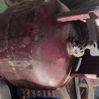 پیکنیک و کلنگ