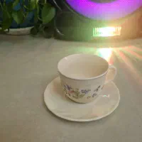 فنجان نعلبکی ارکوپال طرح ویکتوریا|ظروف سرو و پذیرایی|تهران, امام زاده عبدالله|دیوار