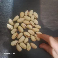 پسته درجه ۱ احمد آقایی