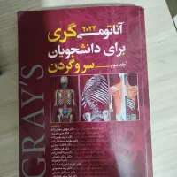 آناتومی گری سروگردن