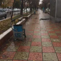 نیازمند منشی و خدمه خانم جهت شرکت خصوصی