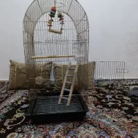 قفس بزرگ