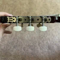 گیتار آریا AK-20