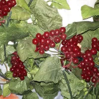 گل و میوه مصنوعی متنوع|گل مصنوعی|دماوند, گیلاوند|دیوار