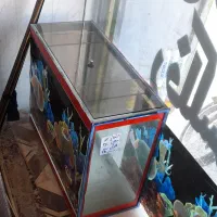 آکواریوم|حراج|شیراز, شهدای شهرک سعدی|دیوار