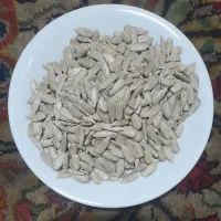 خشکبار.  مغز  فندق. مغز  آفتاب  مغز هسته زدآلو