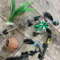 آکواریوم شیشه خم|ماهی|کرمانشاه, |دیوار