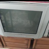 تلویزیون