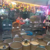 لوازم پرنده