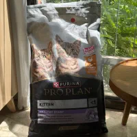 غذای بچه گربه Purina پرو پلن ۱۰ کیلویی اورجینال