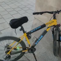 دوچرخه اورلرد