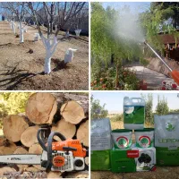 خدمات باغبانی آبیاری قطرهای کاشت هرس سم پاشی|خدمات باغبانی و درختکاری|شیراز, شهرک گلستان|دیوار