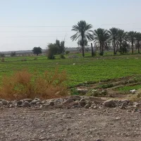 فروش تانکر ۵۰۰۰ لیتری|قطعات یدکی و لوازم جانبی|کهنوج, |دیوار