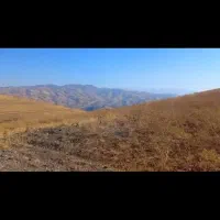 زمین کشاورزی با امتیاز آب برای فروش|فروش دفتر صنعتی، کشاورزی، تجاری|حسین آباد, |دیوار