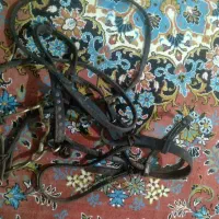 گردنی اسب|اسب و تجهیزات اسب‌سواری|گنبد کاووس, |دیوار