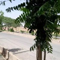 ۲عددمغازه فروشی خسروجرد