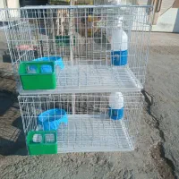 قفس کبوتری|لوازم جانبی حیوانات|برازجان, |دیوار