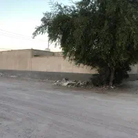 فروش خونه|فروش خانه و ویلا|بندرلنگه, |دیوار