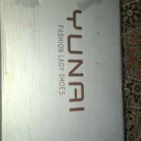 کفش مجلسی زنانه|کیف، کفش، کمربند|صدرا-فارس, فاز ۲|دیوار