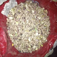 فروش دستگاه بشکن تبریزی و بادکش