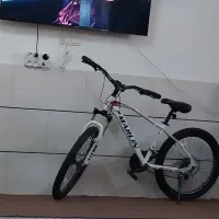 دوچرخه نو