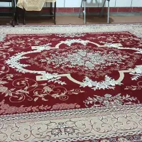 فرش 12متری|فرش|شوشتر, |دیوار