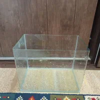 آکواریوم|ماهی|شاهین‌شهر, مسکن مهر|دیوار