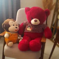 دوعدد عروسک سالم