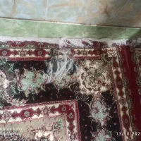 یک جفت فرش ۱۲متری|فرش|خاش, |دیوار