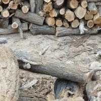 فروش چوب برش خورده برای شومینه