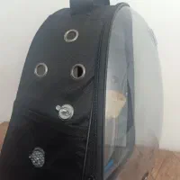 کیف حمل عروس هلندی