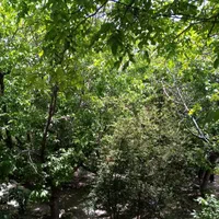 ویلا باغ اجاره ای در **خبر بافت**|اجارهٔ کوتاه‌مدت ویلا و باغ|بافت, |دیوار