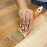 نیروی کار رنگکار